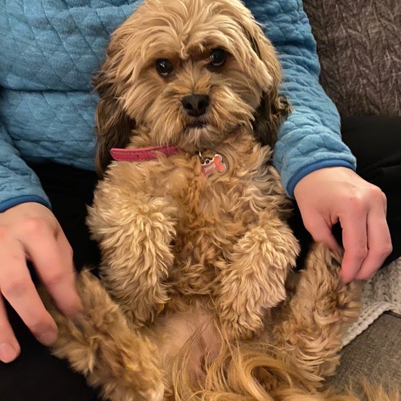 Meet your Posher, Ted - Picture 1 of 1